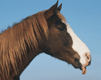 STANI_105_003_103.gif