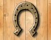 0044_neos2d_horseshoe.gif